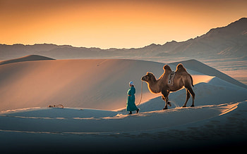 Desert in Mongolia, desert, camel, sand, Mongolia, woman HD wallpaper