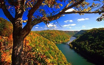 Virginia , Top , State pride, Vibrant backgrounds HD wallpaper
