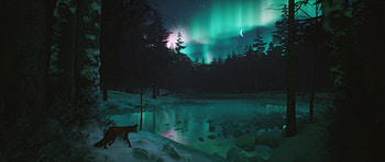 Night Sky, art, Night, aurora, Sky HD wallpaper