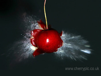 EXPLODING Cherry, lady gaga, angel, batista, john cena HD wallpaper