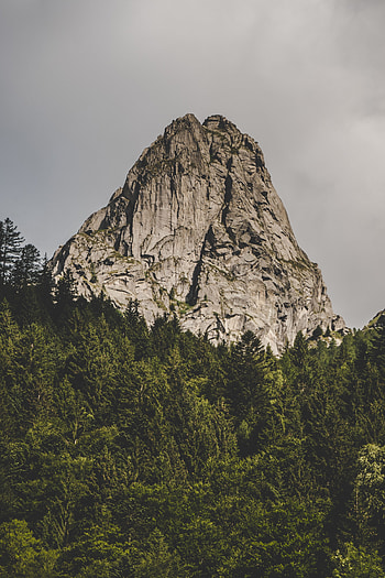 Nature, Trees, Rock, Mountain, Vertex, Top, Forest HD phone wallpaper