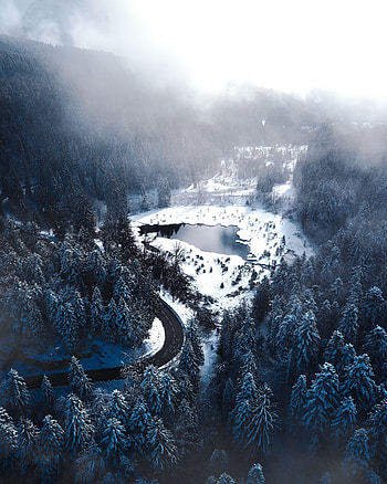 Winter, Nature, Lake, Road, Forest HD phone wallpaper