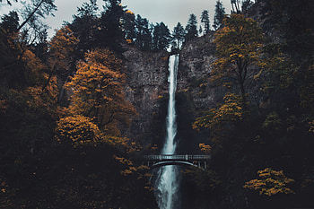 Nature, Water, Trees, Waterfall, Break, Precipice, Bridge HD wallpaper