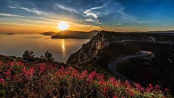 Cape Canaille, Cote d'Azur, France, sun, sunset, coast, landscape, clouds, sky, flowers HD wallpaper