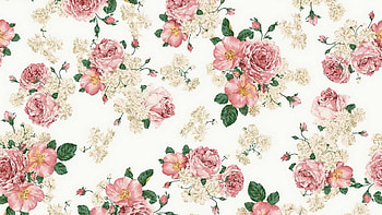 Pattern, pink, rose, white, flower, texture HD wallpaper