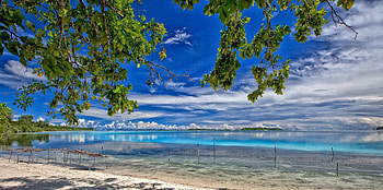 Sumba Island, island, plants, indonesia, beach HD wallpaper