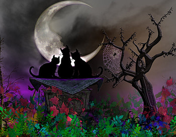 Three Cats and the Moon !, night, cats, moon, fantasy HD wallpaper