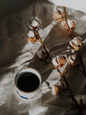 Food, Coffee, Cup, Branch, Cotton HD phone wallpaper
