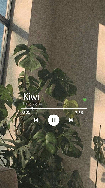 Kiwi HS, harry, styles HD phone wallpaper