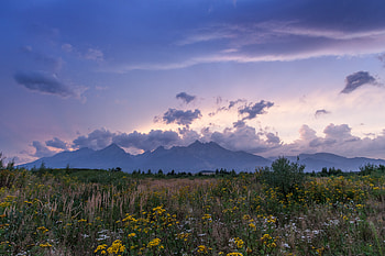 Nature, Grass, Mountains, Rocks, Dahl, Distance, Wildflowers HD wallpaper