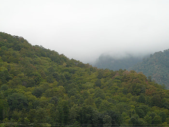 noshahr, paradise of iran HD wallpaper