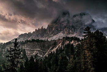 Breathtaking view of the Dolomites under dramatic skies and dense forest, creating a que landscape. HD wallpaper
