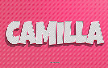 Camilla, pink lines background, with names, Camilla name, female names, Camilla greeting card, line art, with Camilla name HD wallpaper