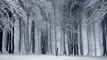 Winter, , iPad and , Serene season HD wallpaper
