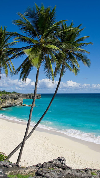 Vakantie Barbados, Beautiful vacations, Exotic getaways, Anwb travel HD phone wallpaper