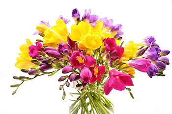 High definition beauty, Gorgeous bouquet, Stunning , Exquisite flowers HD wallpaper