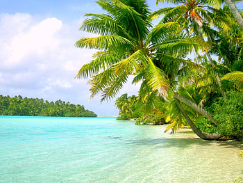 Aitutaki, Cook Islands, island, crystal waters, beautiful, lagoon, beach, turquoise, Polynesian, palm trees, white sand HD wallpaper