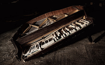 Musical nostalgia, Captivating instrument, Melodic performances, Artistic expressions HD wallpaper