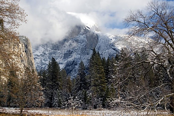 Half Dome - Yosemite National Park, snow, nature, half dome, yosemite, forest, park HD wallpaper