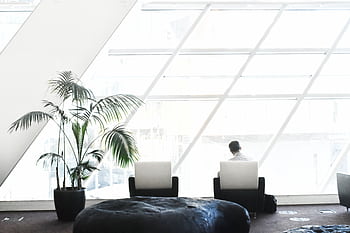 Spacious modern lounge with minimalist decor, featuring large windows and stylish seating. HD wallpaper