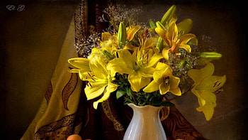 Still life, Yellow, Fruits, Curtain, Vase HD wallpaper