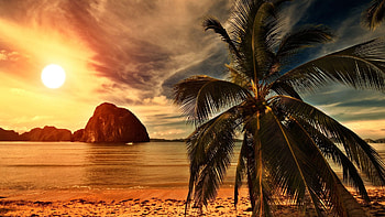 Seychelles Sunset, sky, palm tree, rocks, sea, colors, clouds HD wallpaper