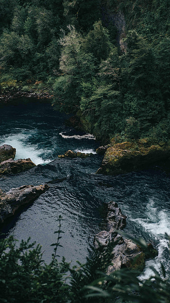 Nature, Water, Trees, Rocks, Flow HD phone wallpaper