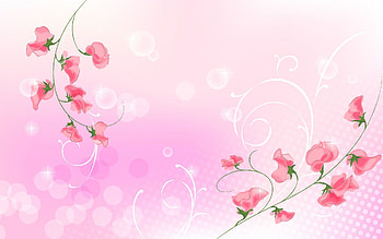 For > Pink Simple Light Background HD wallpaper