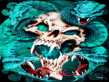 Skull and Snakes, skull, cool, snakes, skulls HD wallpaper
