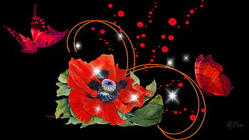 Poppy & Butterflies, butterflies, poppies, shine, sparkle, floral, flowers, stars, spots HD wallpaper