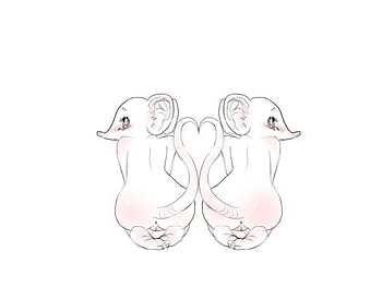 rat love, rat, heart, small, love HD wallpaper