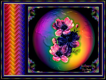 Rainbow Beauty, globes, flowers, rainbow, rainbows HD wallpaper