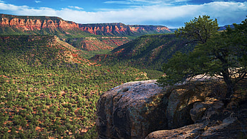 A pine filled landscape in southern Utah, clouds, trees, landscape, sky, mountains, rocks, usa HD wallpaper