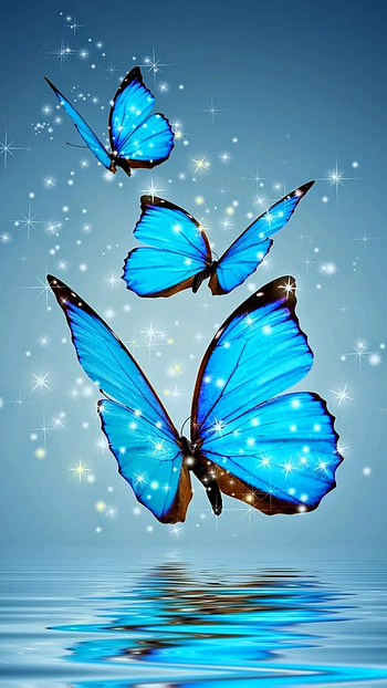 For Android Mobile Full Screen HD phone wallpaper