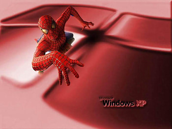 windows, xp, windows xp, spider HD wallpaper