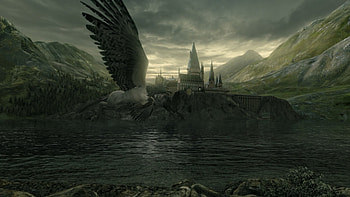 Buckbeak , Harry Potter HD wallpaper