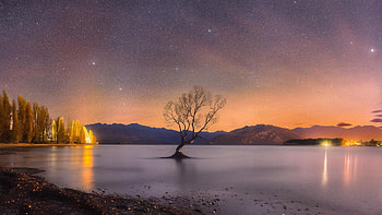The most well-known Wanaka Tree, New Zealand, sky, hills, water, sunset, clouds HD wallpaper