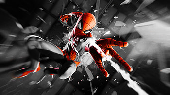 Spiderman Monochrome, spiderman, superheroes, artist, artwork, digital-art HD wallpaper