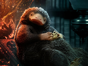 Niffler, Fantastic Beasts, Secrets of Dumbledore HD wallpaper