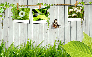Abstract, Landscape, Butterflies, Grass, Art HD wallpaper