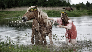 horse bath, other, horse, lake, female HD wallpaper