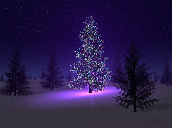 Merry Christmas, night, pine trees, Pine tree, lights, snow, christmas HD wallpaper