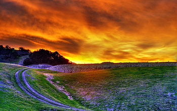 Nature, Flowers, Sunset, Sky, Clouds, Road, Field, Evening HD wallpaper
