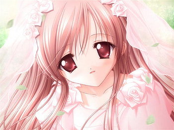 Bride, pink, flowers, wedding HD wallpaper