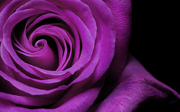 cool banner backgrounds - 1546 X 423 . HD wallpaper