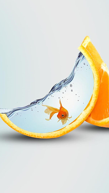 Artwork, Goldfish HD phone wallpaper