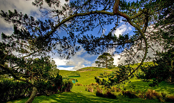 Hobbiton -New Zealand HD wallpaper