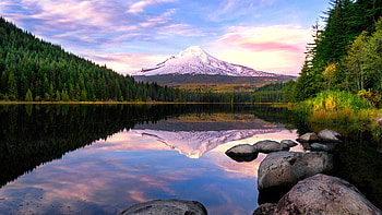 Lake, reflections, mountains, Mount Hood HD wallpaper