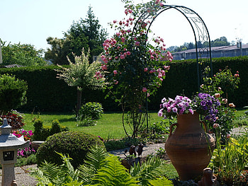 Roses Arch, pink roses, garden, arch, home HD wallpaper