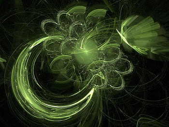 Green Fruit, circles, fruit, black, green HD wallpaper
